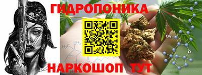 гашиш Кандалакша