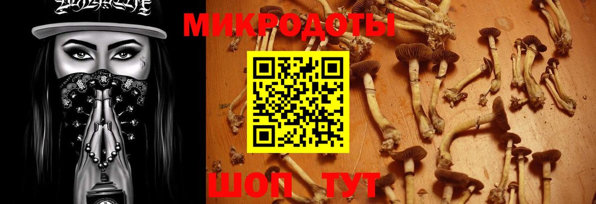 Галлюциногенные грибы MAGIC MUSHROOMS Кстово
