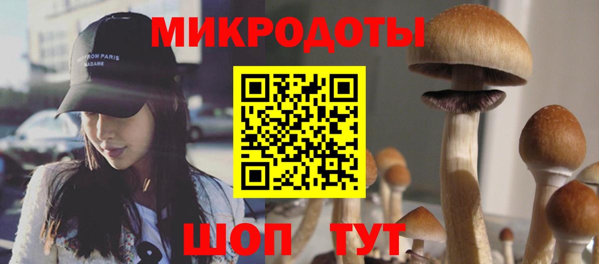 Кстово  Псилоцибиновые грибы Psilocybe  Вход с VPN  Галлюциногенные грибы мухоморы 